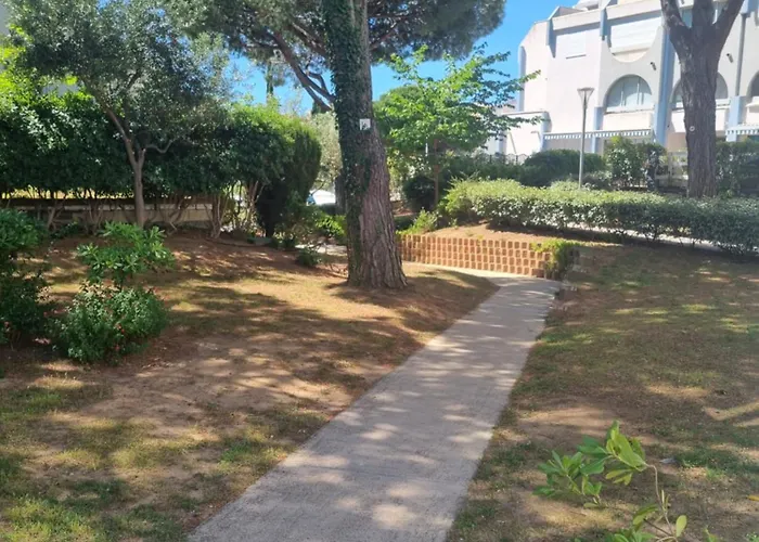 Ensoleille 5 Min De La Du Roi